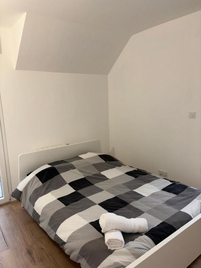 Апартаменты Duplex Neuf Parking Terrasse Мюлуз Экстерьер фото