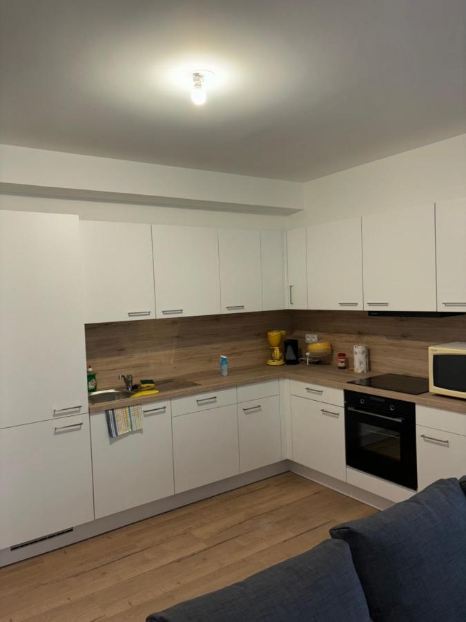 Апартаменты Duplex Neuf Parking Terrasse Мюлуз Экстерьер фото